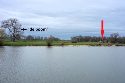 breed2mb01 breed2mb01